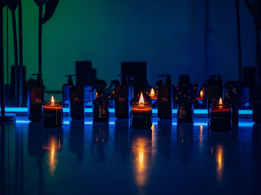 Not Sex, But Forest in the City: wellness-захід Rebellion